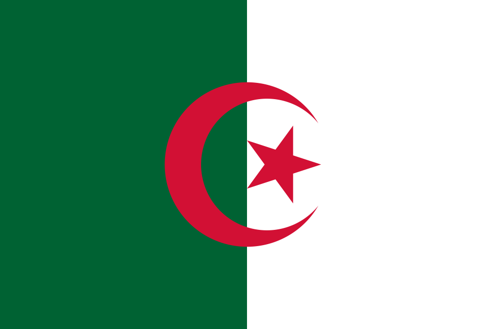 Algeria Flag - Country Flags DTF Transfers ready2transfer