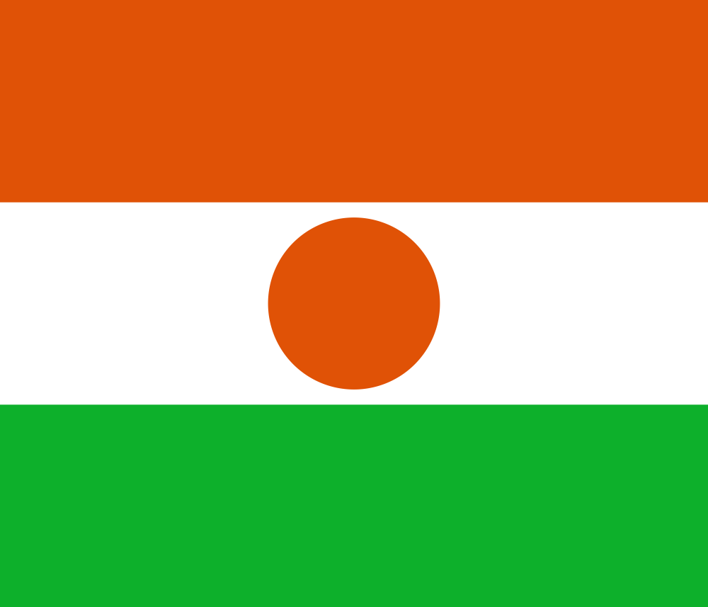 Niger Flag - Country Flags DTF Transfers ready2transfer