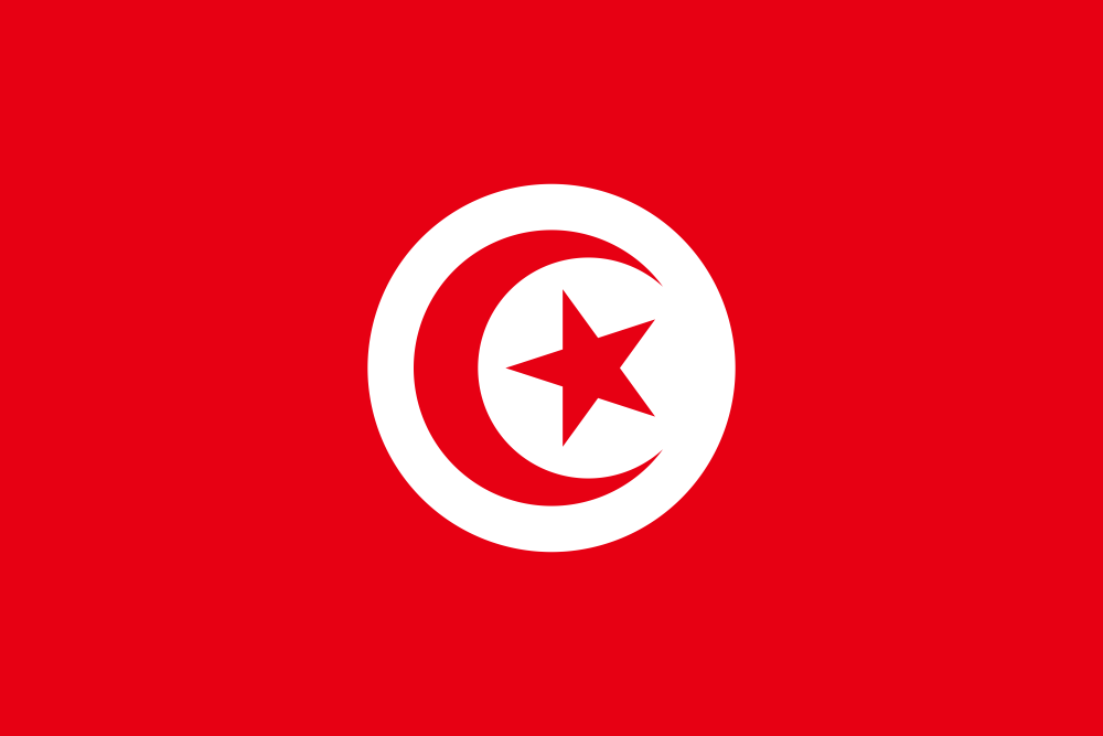 Tunisia Flag - Country Flags DTF Transfers ready2transfer