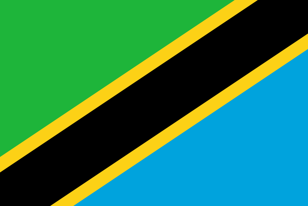 Tanzania Flag - Country Flags DTF Transfers ready2transfer