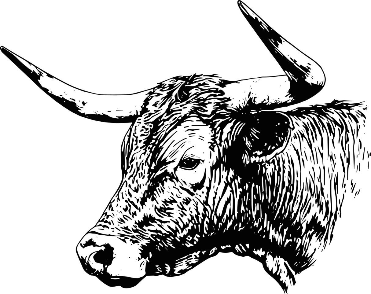Bull B&W Design - Animals DTF Transfers