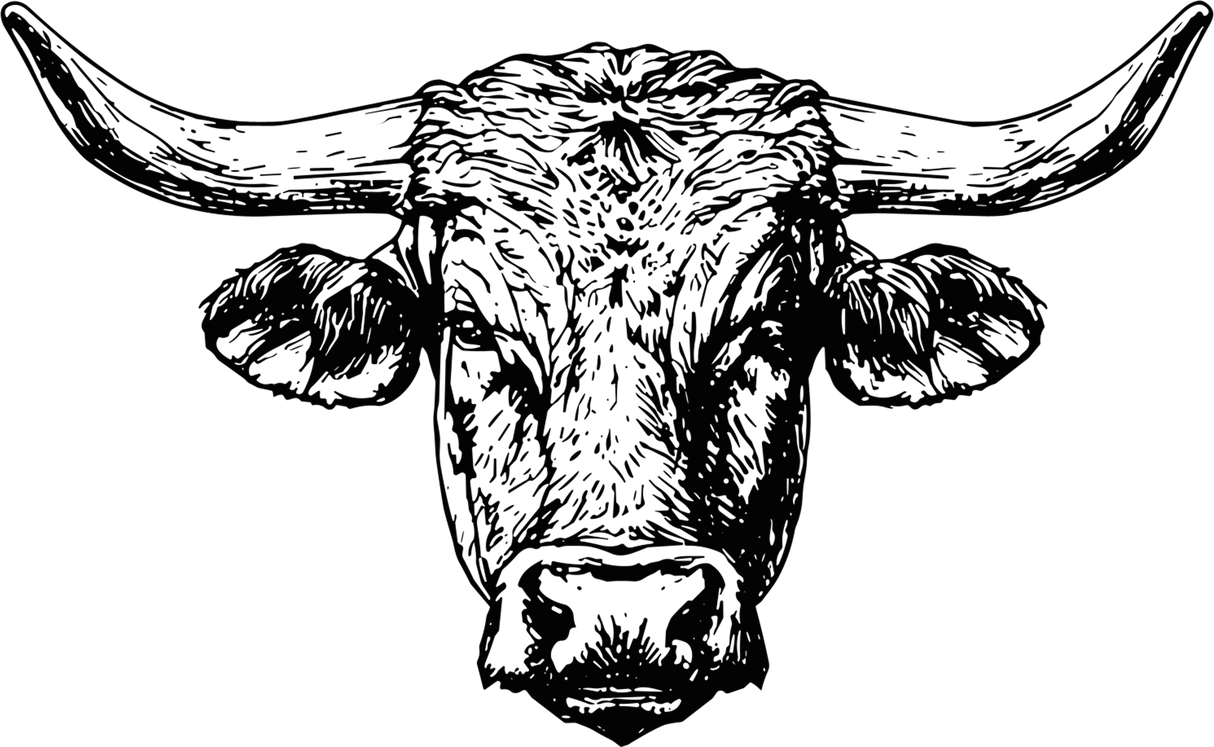Bull B&W Face - Animals DTF Transfers