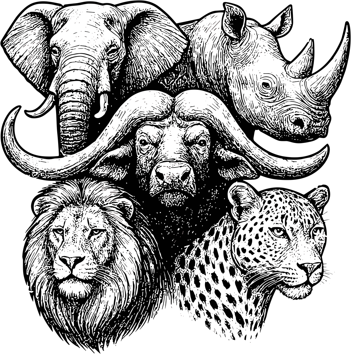 Safari Animals Collage B&W - Animals DTF Transfers