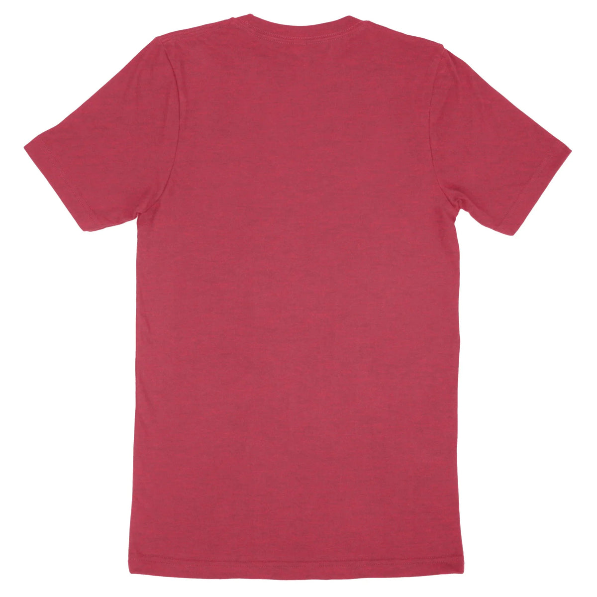 Back view of a plain red Bella Canvas Adult T-Shirt 3001