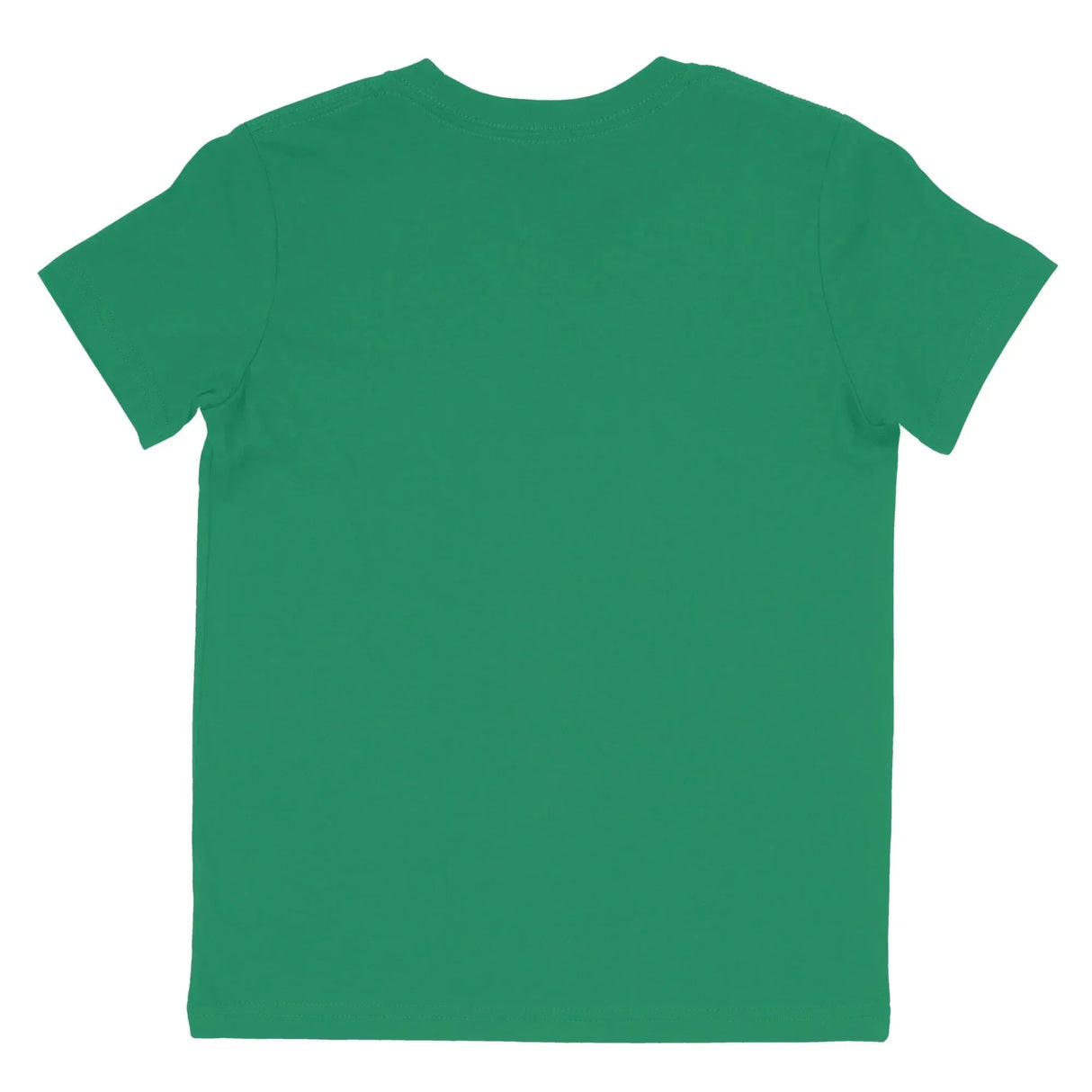 Back view of plain Kelly green short sleeve t-shirt on white background