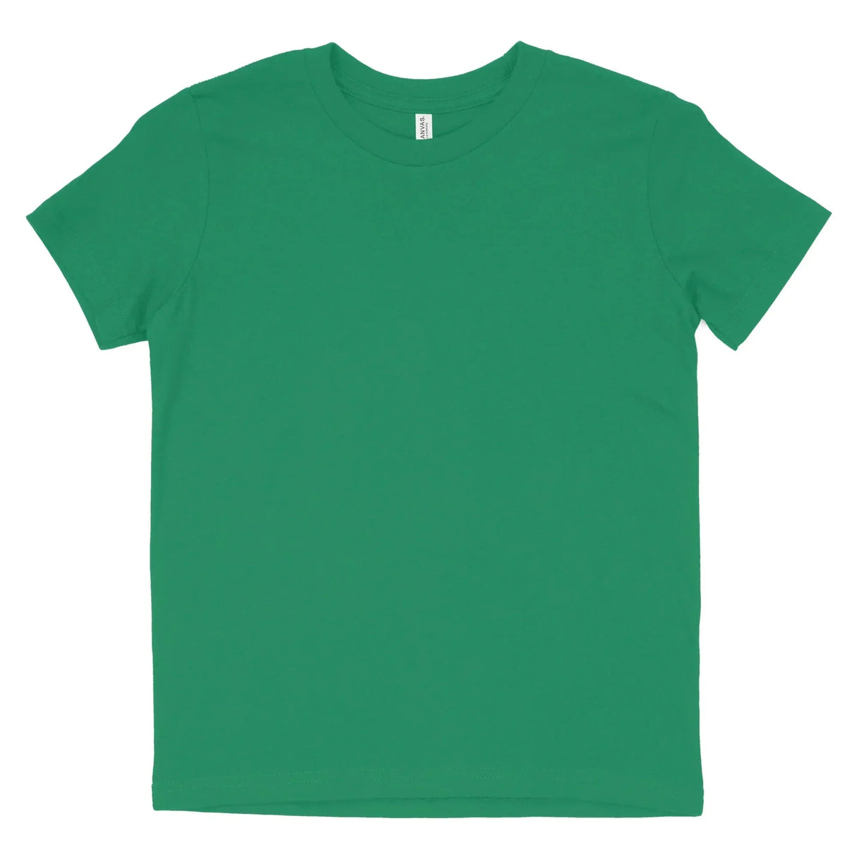 Plain Kelly green short sleeve cotton T-shirt with crew neck on white background