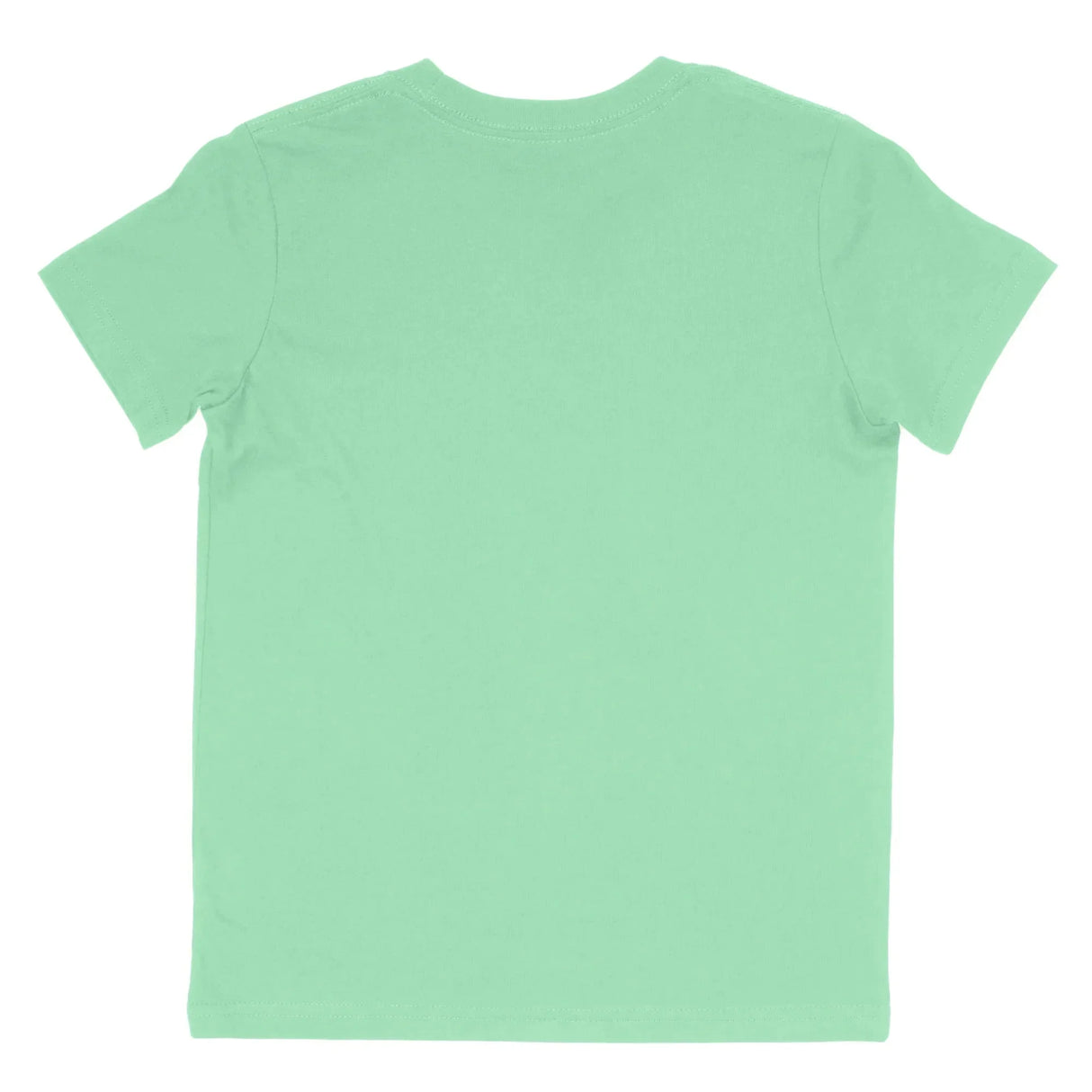 Back view of plain mint green short sleeve kids t-shirt on white background