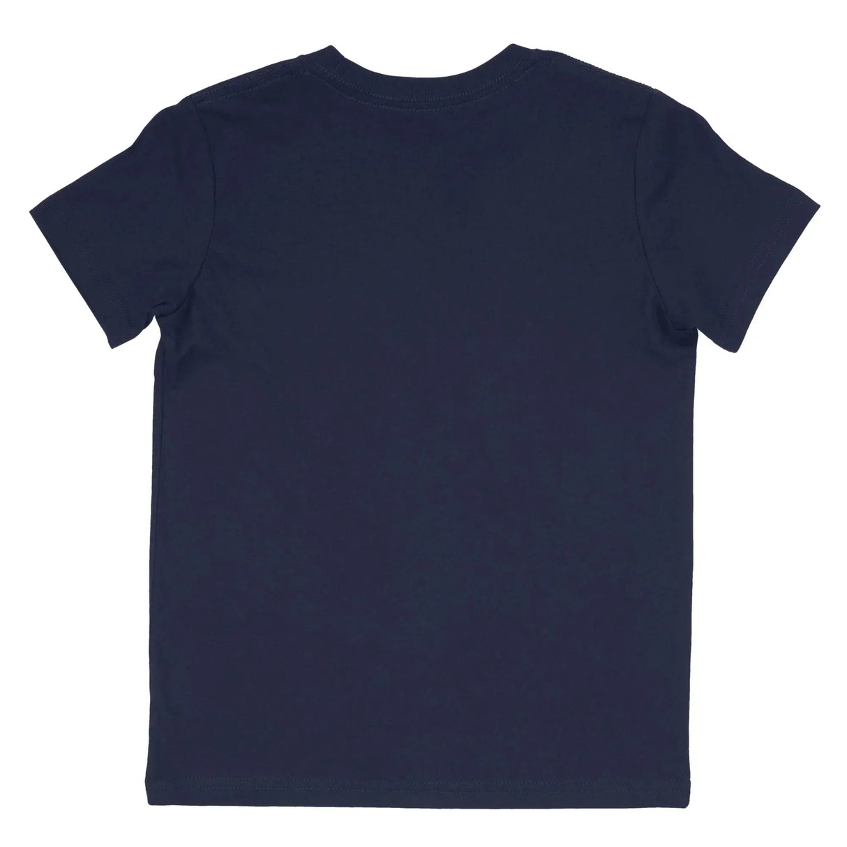 Back view of plain navy blue short sleeve t-shirt on white background