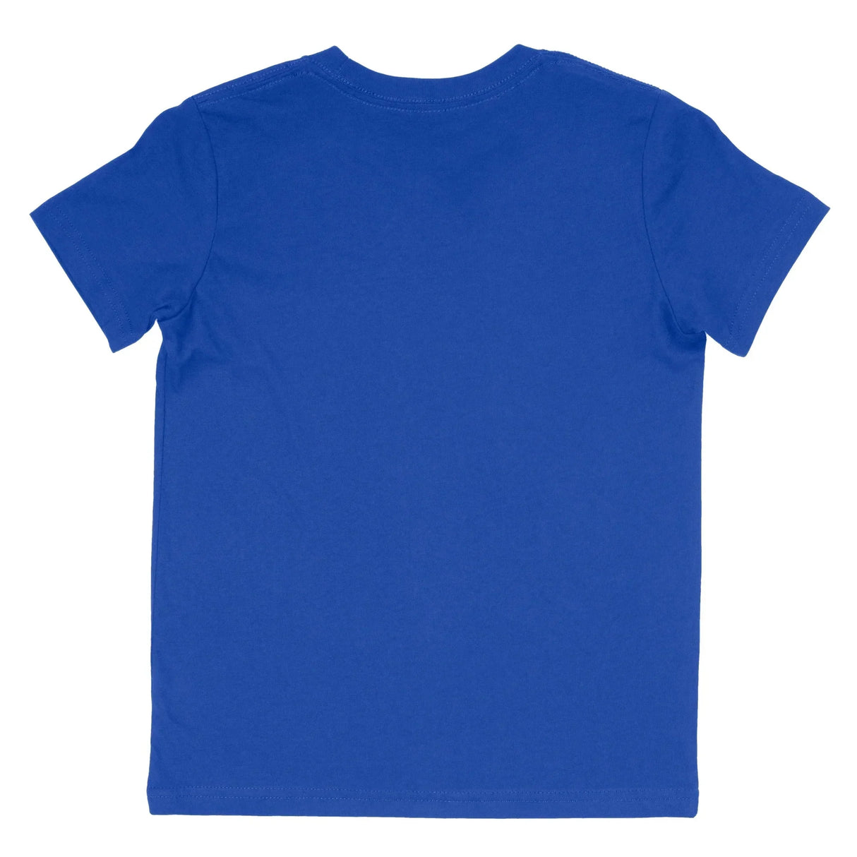 Back view of plain true royal blue short sleeve t-shirt on white background