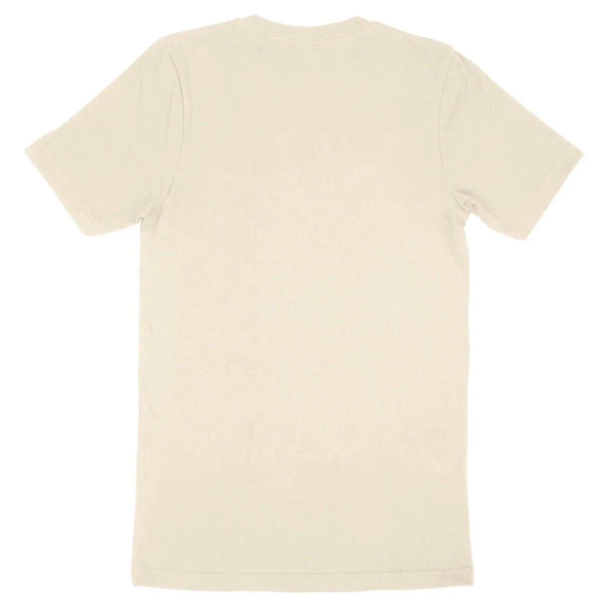 Custom Bella + Canvas Adult T-Shirt 3001