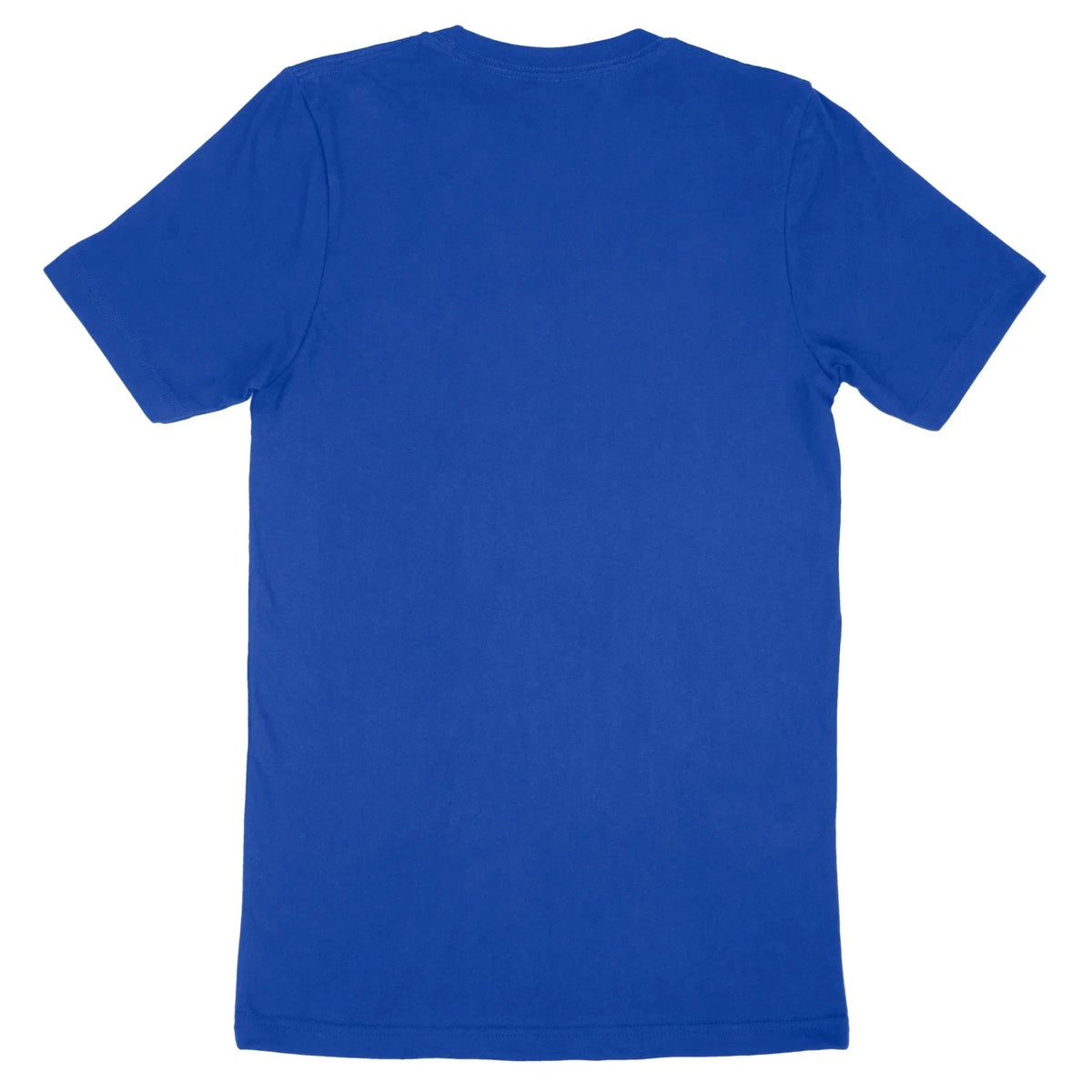 Back view of a plain blue Bella Canvas Adult T-Shirt 3001