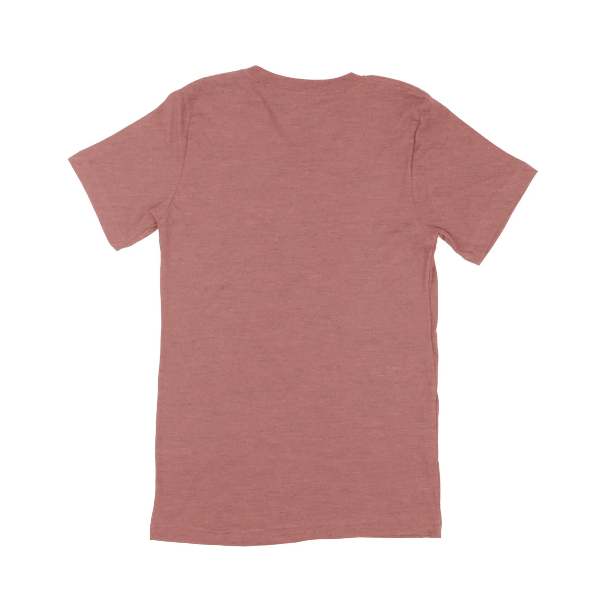 Custom Bella + Canvas Adult V-Neck T-Shirt 3005