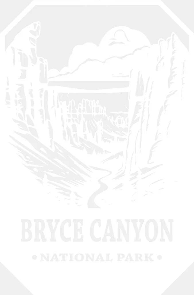 Bryce Canyon National Park Design - Parks Dtf Transfers Adult Unisex S & M (10’) / White