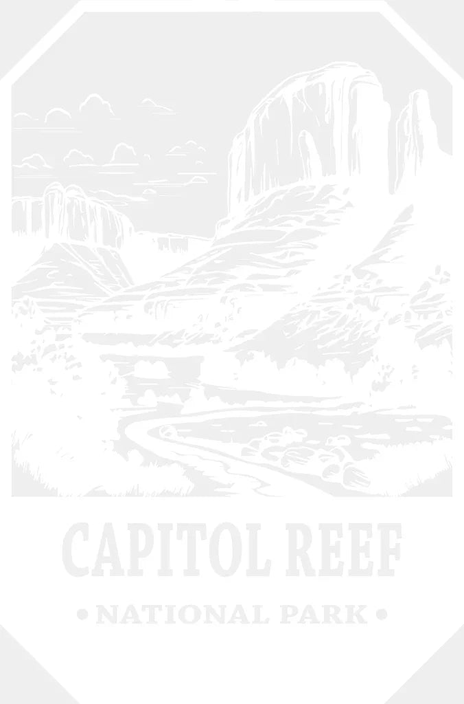 Capitol Reef National Park Design - Parks Dtf Transfers Adult Unisex S & M (10’) / White
