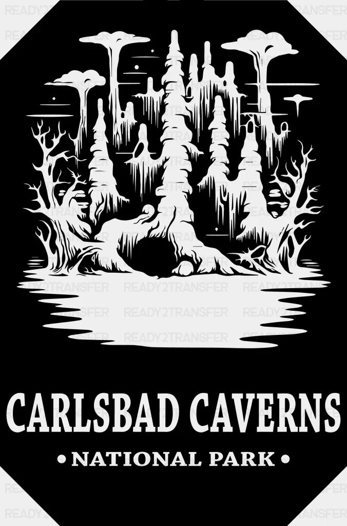Carlsbad Caverns National Park Design - Parks Dtf Transfers Adult Unisex S & M (10’) / Black
