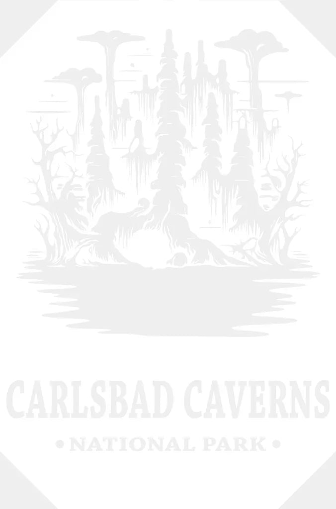 Carlsbad Caverns National Park Design - Parks Dtf Transfers Adult Unisex S & M (10’) / White