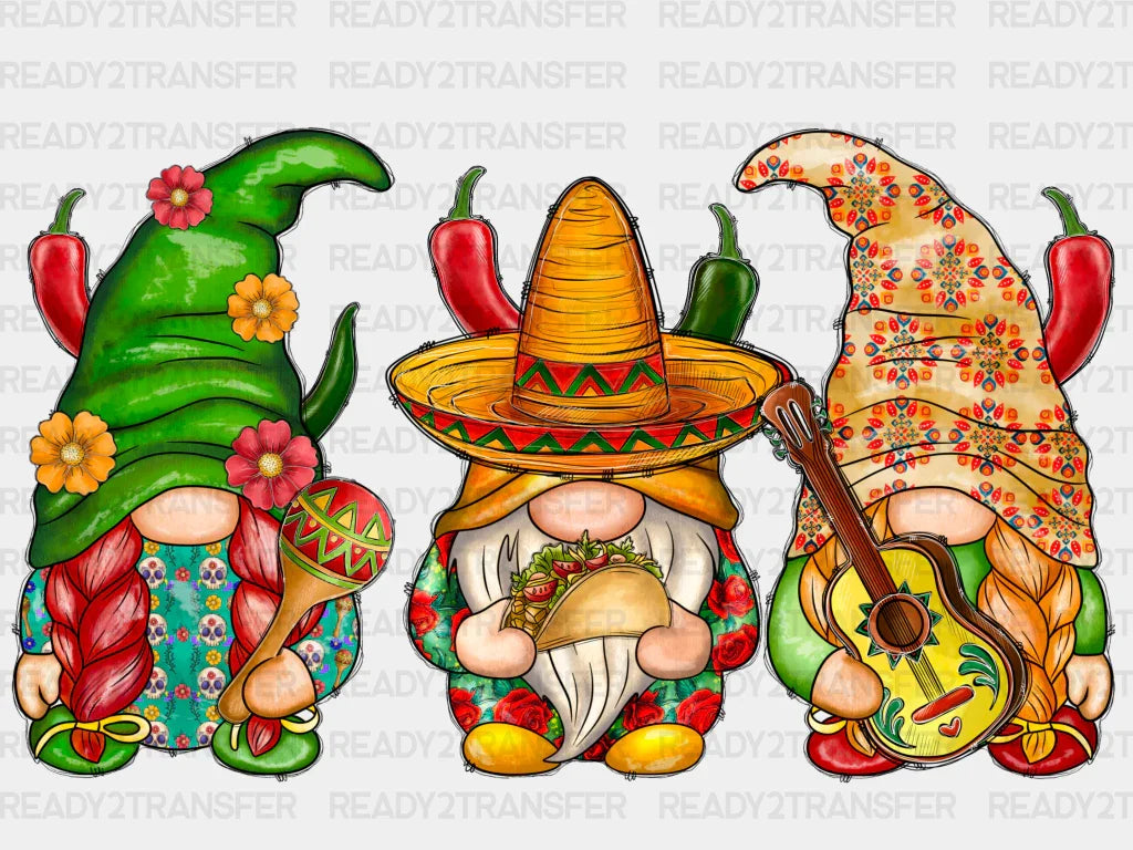 Cinco De Mayo & Gnome DTF Transfer