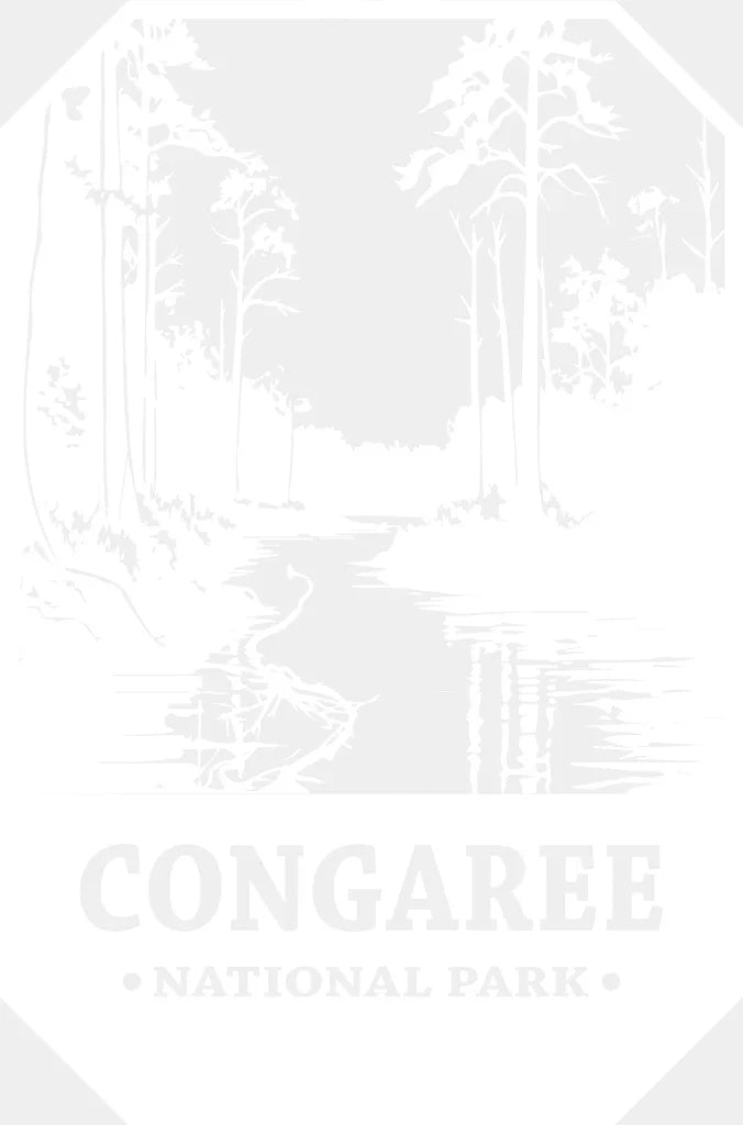 Congaree National Park Design - Parks Dtf Transfers Adult Unisex S & M (10’) / White