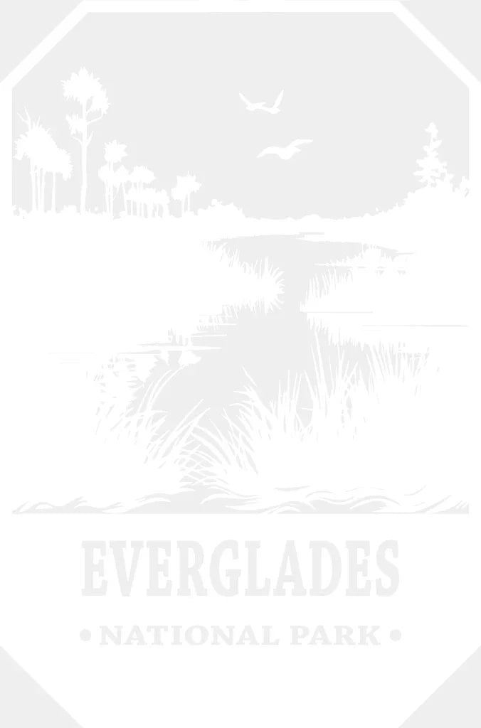Everglades National Park Design - National Parks DTF Transfers ready2transfer White