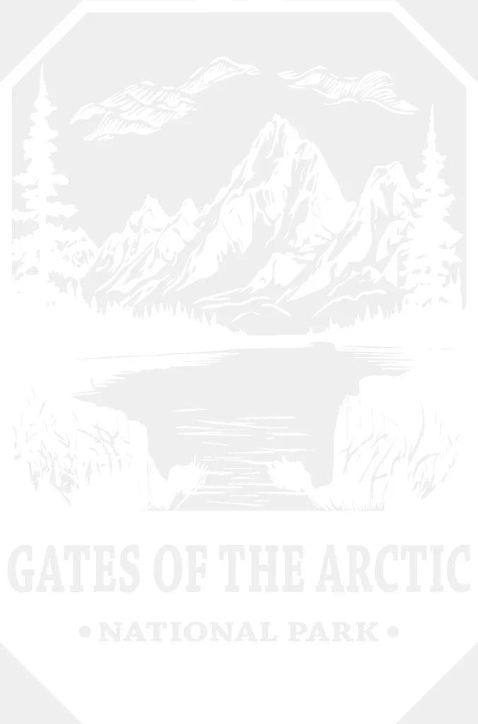 Gates Of The Arctic National Park Design - National Parks DTF Transfers ready2transfer White