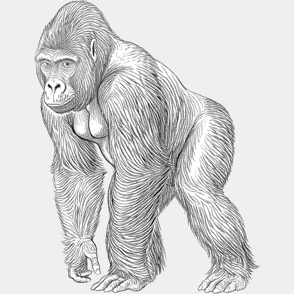Gorilla B&W - Animals DTF Transfers - Adult Unisex - S & M (10’’) / Light Color Design (See Imaging)