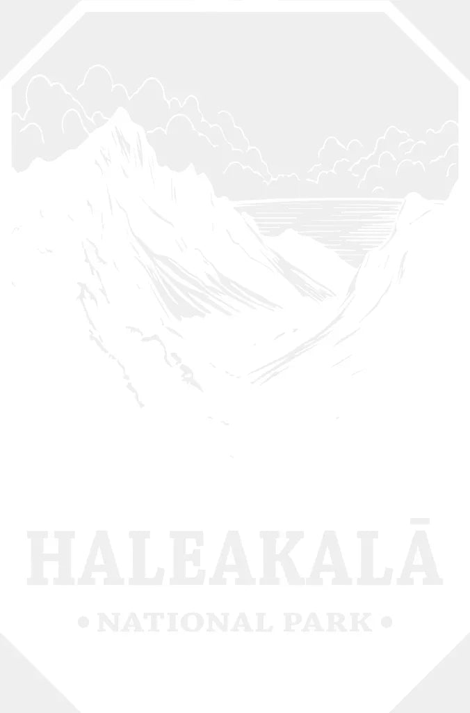 Haleakala National Park Design - National Parks DTF Transfers ready2transfer White