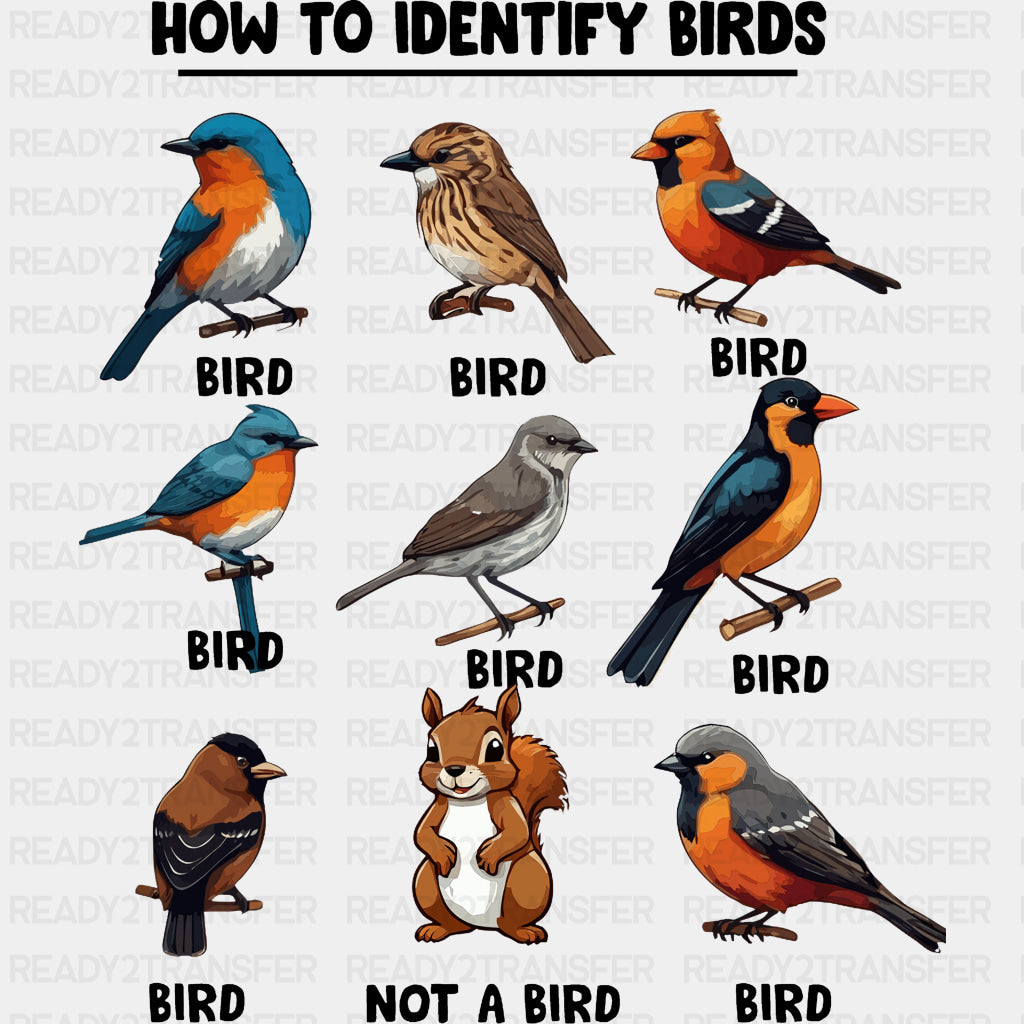 How To Identify Birds - Birds DTF Transfers ready2transfer Dark Color Design (See Imaging)