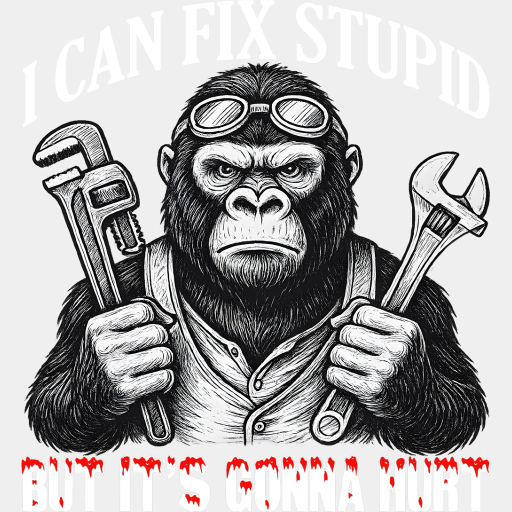 I Can Fix Stupid, But It's Gonna Hurt - Funny DTF Transfers ready2transfer Light Color Design (See Imaging)