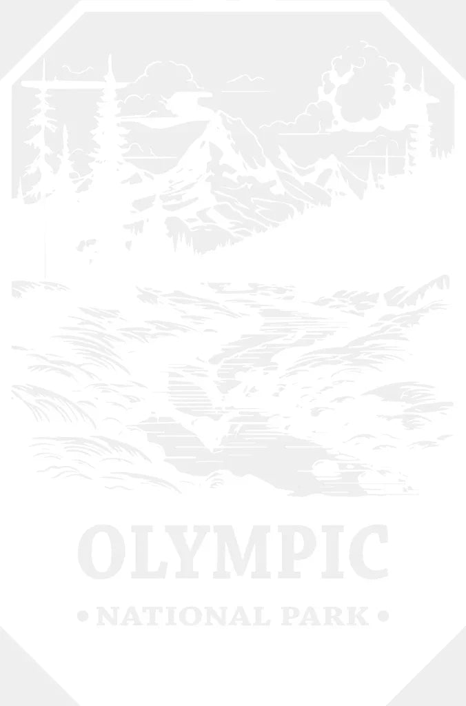 Olympic National Park Design - National Parks DTF Transfers ready2transfer White