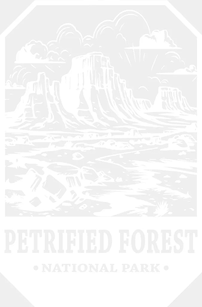 Petrified Forest National Park Design - National Parks DTF Transfers ready2transfer White