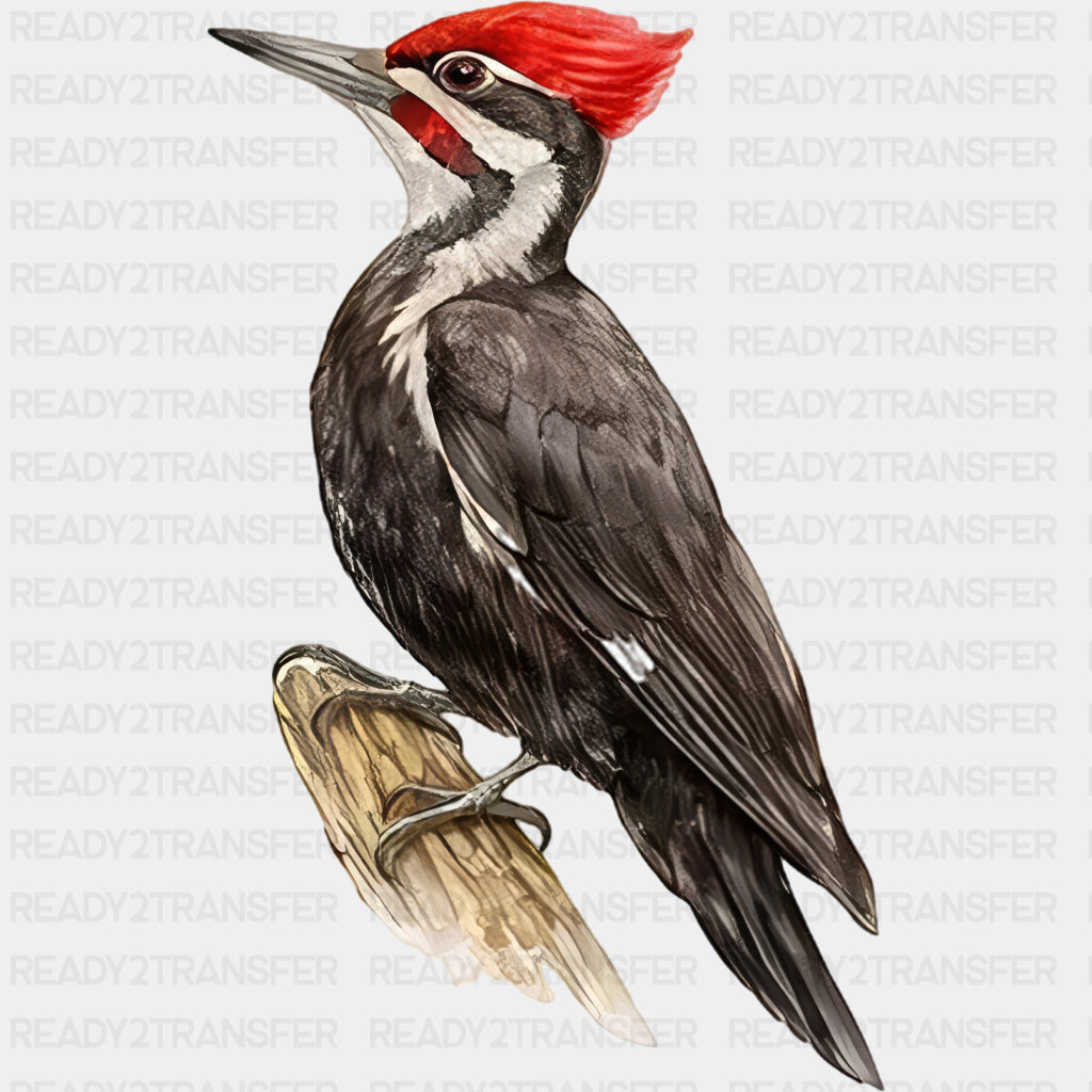 Pileated Woodpecker - Animals DTF Transfers