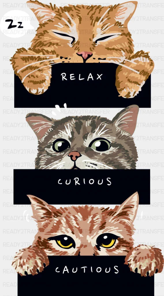 Relax Curious Cautious - Cats DTF Transfer ready2transfer