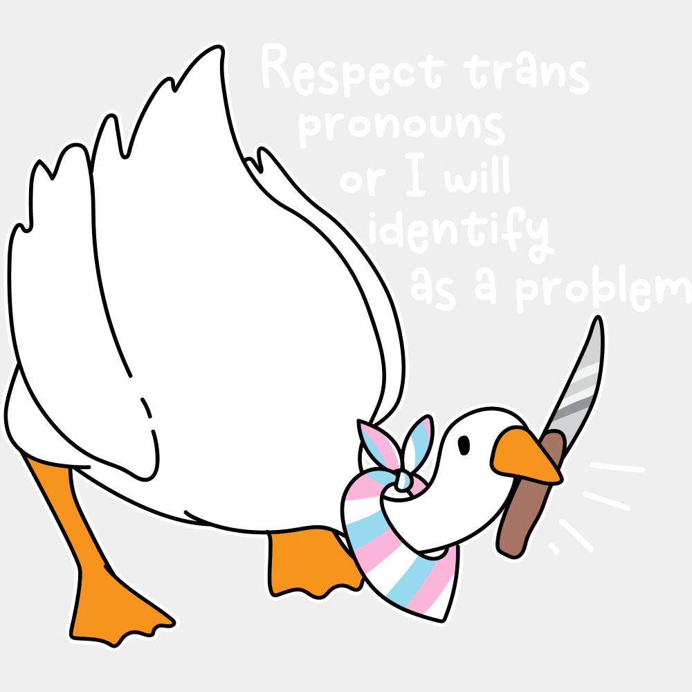 Respect Trans Pronouns Or I Will Identify As A Problem - Transgender DTF Transfers ready2transfer Light Color Design (See Imaging)