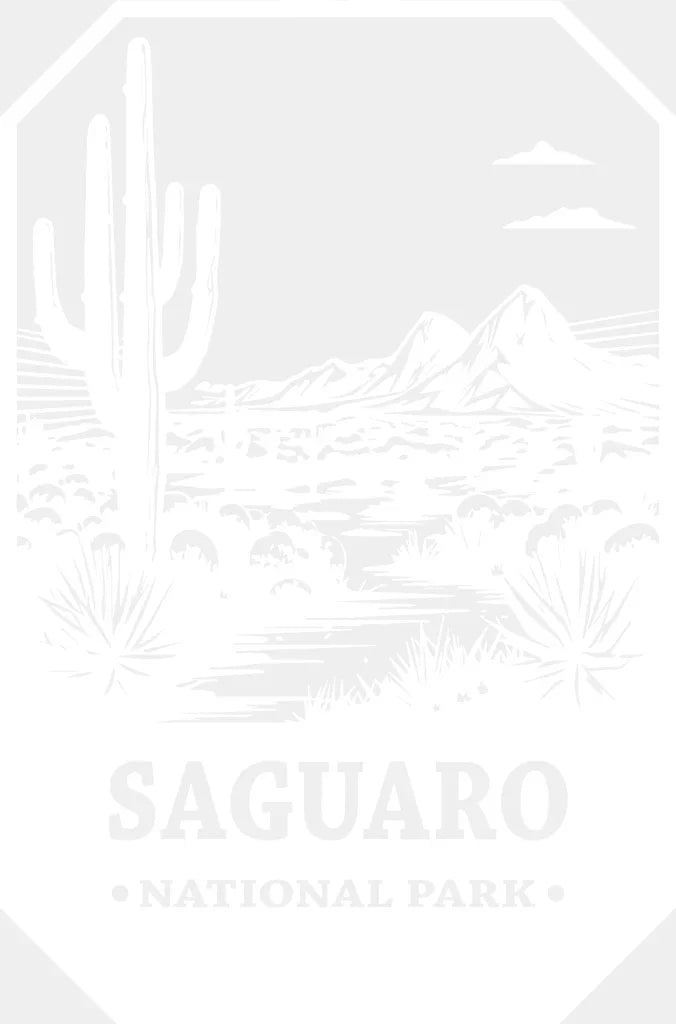 Saguaro National Park Design - National Parks DTF Transfers ready2transfer White
