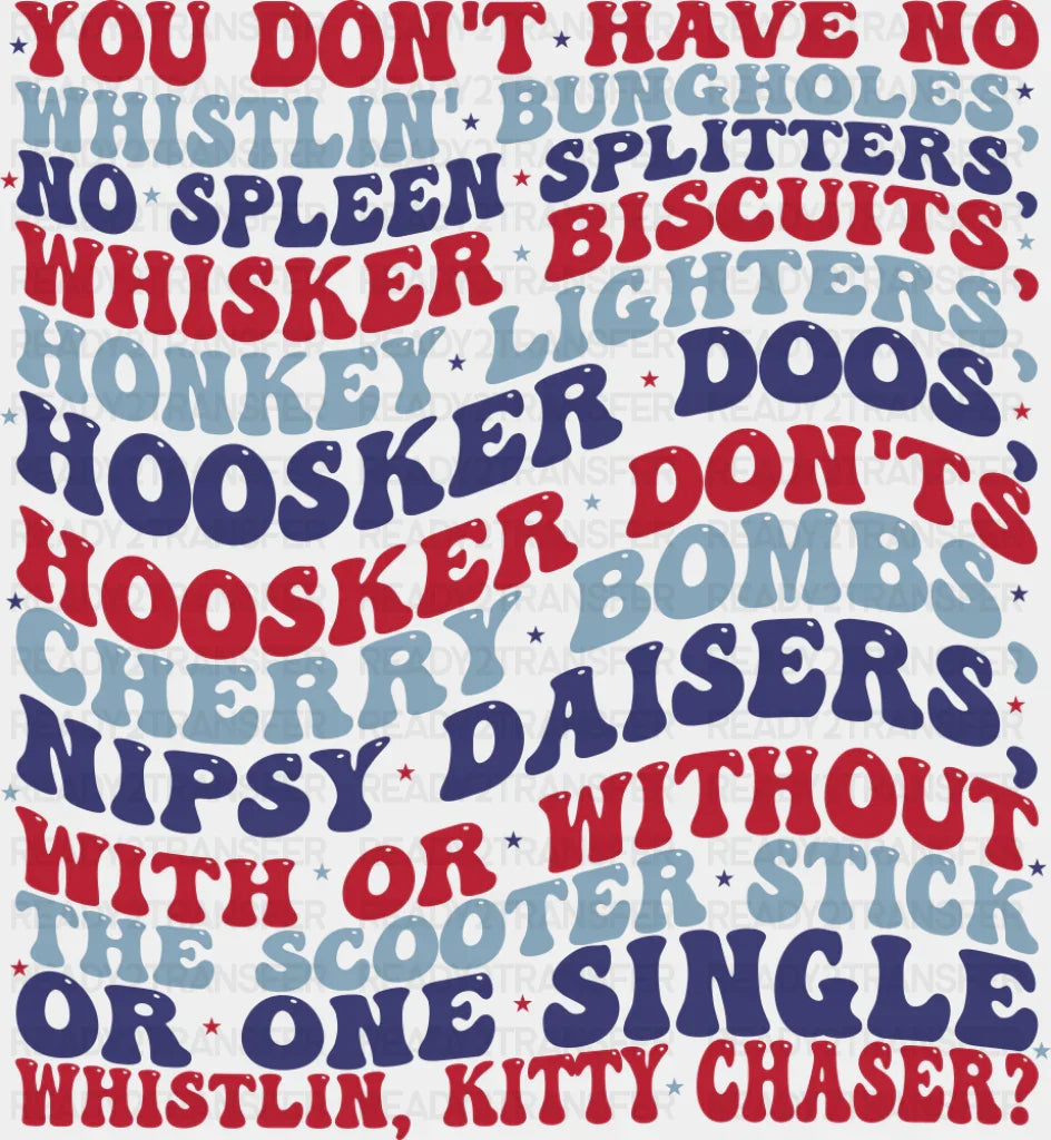 You Don’t Have No Whistlin’ Bungholes - 4th Of July DTF Transfer