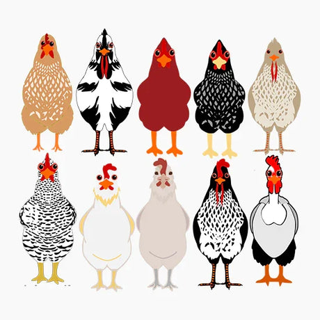 Chicken DTF Transfers