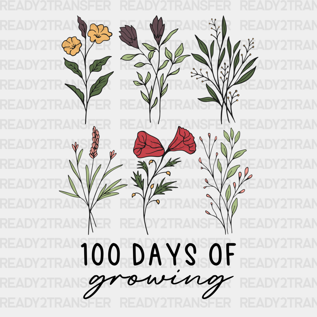 100 Days Of Growing Dtf Transfer