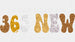 365 New Chances - New Year DTF heat transfer ready2transfer White