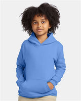 Youth EcoSmart® Hooded Sweatshirt