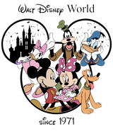 Walt Disney World DTF Transfer