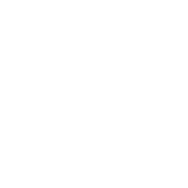 BRIDE OR DIE Floral DTF Transfer