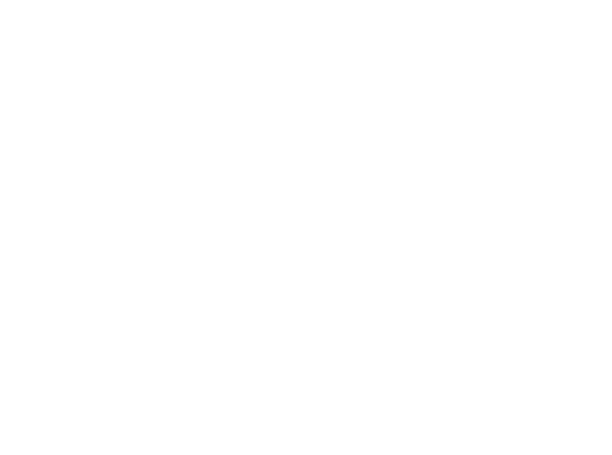 TRIBE We Are Gettin Rowdy Bull DTF Transfer