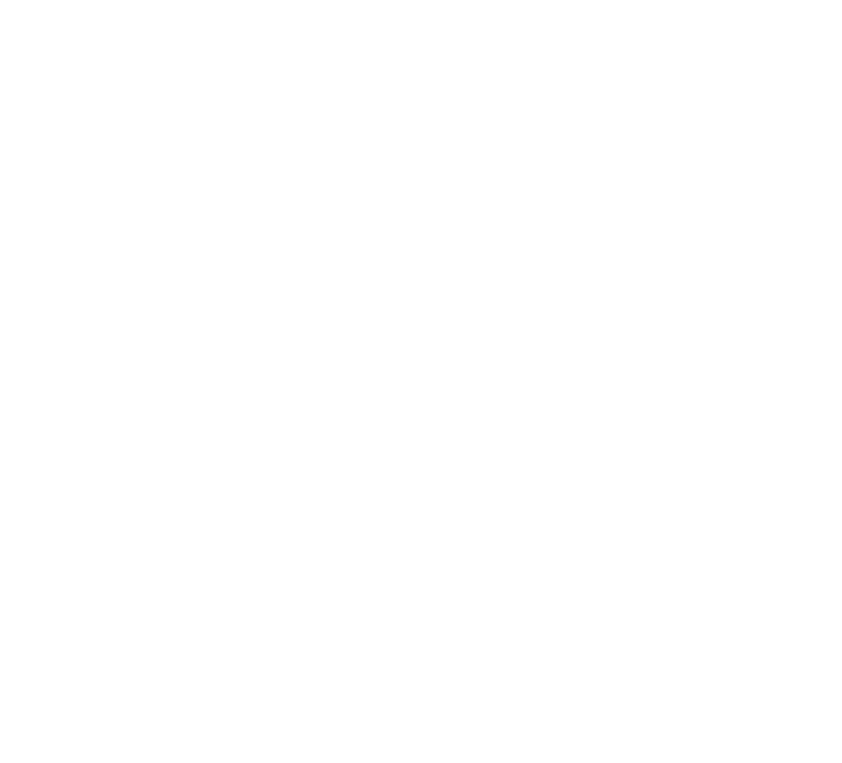 VEGAS Birthday Crew DTF Transfer