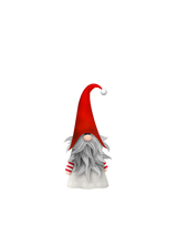 Game Of Gnomes DTF Transfer