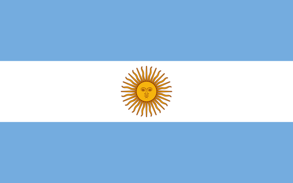 Argentina Flag - Country Flags DTF Transfers