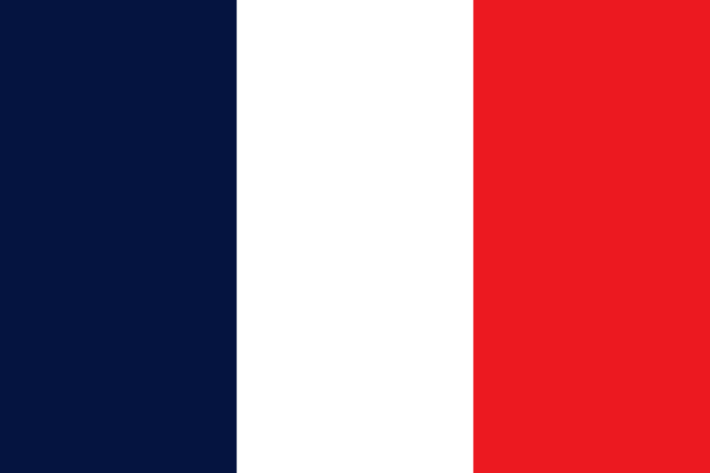 France Flag - Country Flags DTF Transfers ready2transfer
