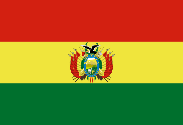 Bolivia Flag - Country Flags DTF Transfers