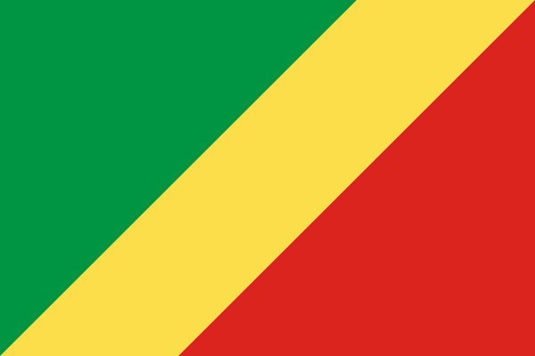 Republic of the Congo Flag - Country Flags DTF Transfers