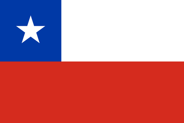 Chile Flag - Country Flags DTF Transfers