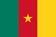 Cameroon Flag - Country Flags DTF Transfers ready2transfer